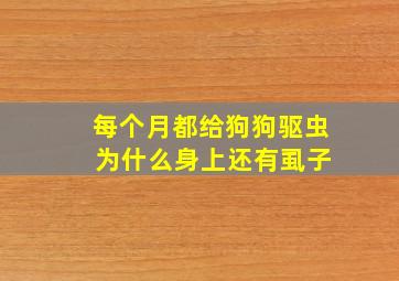 每个月都给狗狗驱虫 为什么身上还有虱子